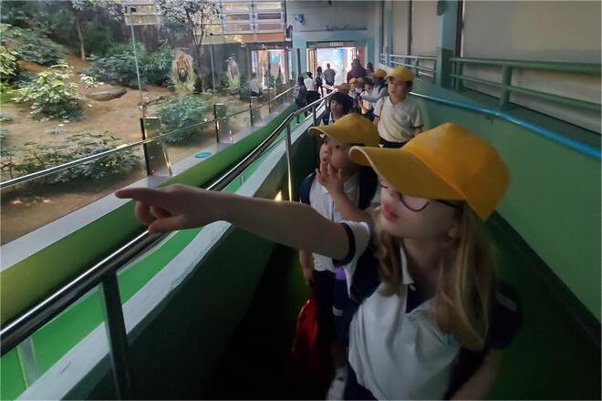 The Power of Small Class Sizes: Building a Supportive Learning Community at Oxbridge School